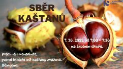 Sběr kaštanů a žaludů už příští týden!