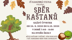Sběr kaštanů