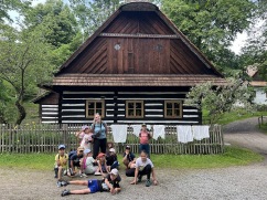 Obrázek v galerii