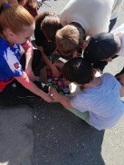 Obrázek v galerii