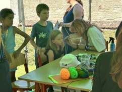 Obrázek v galerii