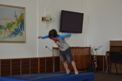 Obrázek v galerii