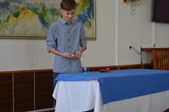 Obrázek v galerii