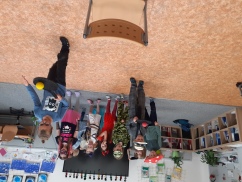 Obrázek v galerii