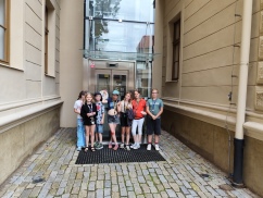 Obrázek v galerii