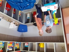 Obrázek v galerii