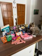 Sbírka "Zasněžené tlapky" ve školní družině