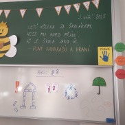 Obrázek v galerii