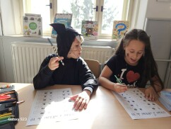 Obrázek v galerii