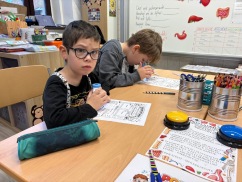 Obrázek v galerii
