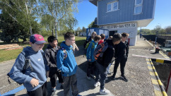 Obrázek v galerii